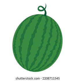 Red watermelon fruit vector illustration