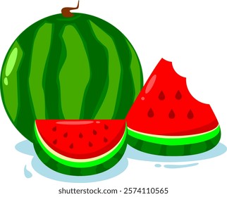 Red watermelon piece with bite illustration. Fresh green opened watermelon. Sliced watermelon