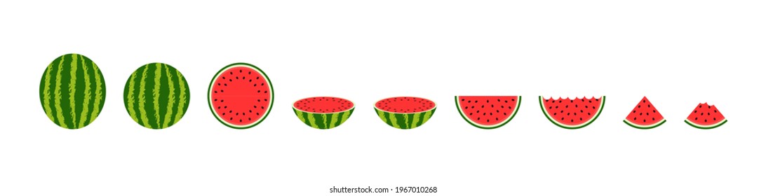 Red watermelon. Round, half, quarter and slice of watermelon. Cartoon icon of water melon. Cut of piece of fruit. Summer plant isolated on white background. Logo for food, juice and freshness. Vector.