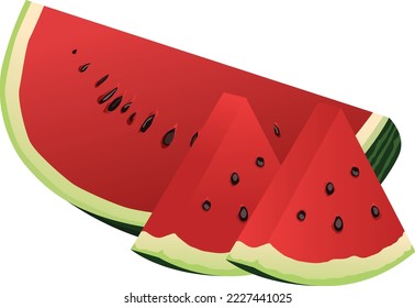 red watermelon slice in isolated vector
