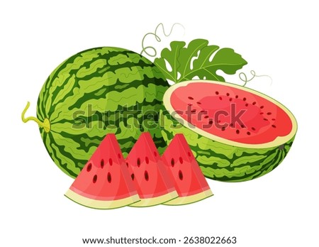 Red watermelon whole, half, cut into wedges and green leaves. Botanical fruit Hand drawn trendy flat style isolated icon on a transparent background for card design, print, banner, packaging, label