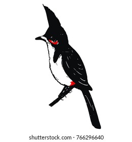 Red whiskered Bulbul