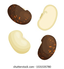 Red and white beans isolated on a white background. Set of beans in a cartoon style. Whole and halves of grains. Top view. Vector illustration.