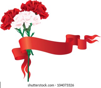 red and white carnations with a ribbon