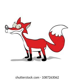 red and white fox