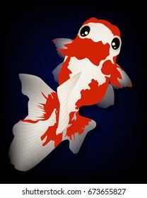 Red white gold fish top view graphic vector