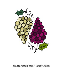 Red and white grape bunch, iso;ated on white