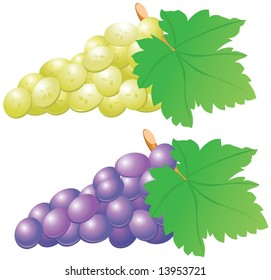 Red and white grape isolated on white