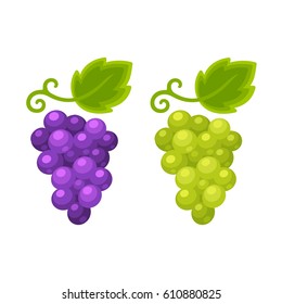 Red and white grapes isolated cartoon illustration, grape types set. Wine vector logo art.