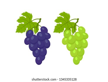 red and white grapes with leafs isolated vector image of organic fruit. wine logo symbol