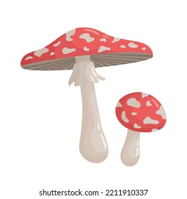 Red and white mushrooms icon. Two fly agaric icons, graphic element for website. Flora, botany, nature and wild life. Sticker for messengers and social networks. Cartoon flat vector illustration