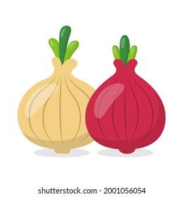 Red and white onion vector