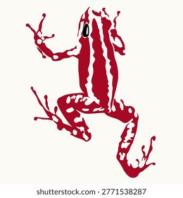 a red and white poisonous forest frog with a white background.reptile animal beautiful skin texture on white background