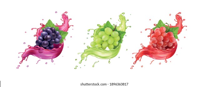 Red, white, rose and black wine grapes in juice splash. vector icons set. Grape varieties.