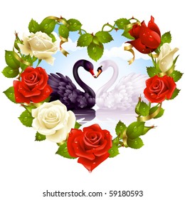 Red and white Roses and couple Swans