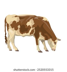 Vaca de pasto manchada de vermelho e branco. Bovinos machos. Animal leiteiro. Ilustração de vetor isolada em um plano de fundo branco em um estilo realista