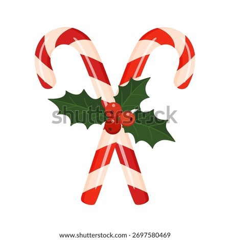 Red and white striped Christmas candy canes with holly leaves and berries. Cute festive candy. Hand drawn flat style isolated. Perfect for holiday cards, packaging, decorations. Vector illustration