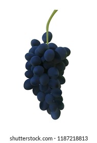 Red and white table grapes, wine grapes. Fresh fruit, 3d vector icon set