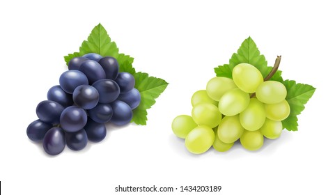 Red and white table grapes. Wine grapes realistic bunch vector icon set.