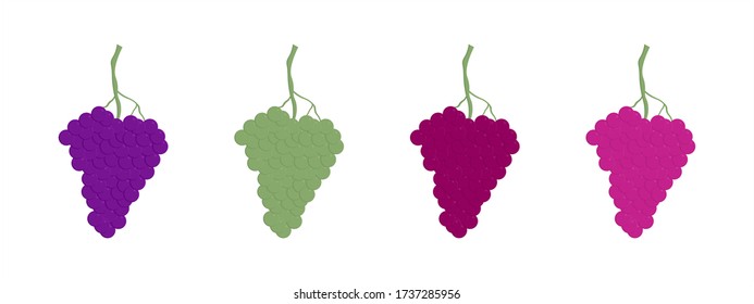 Uvas de mesa rojas y blancas, uvas de vino. Conjunto de fruta fresca