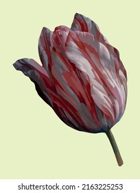 Red and white tulip isolated on yellow background, vector graphic, textile and paper print.