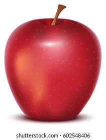 Red whole ripe apple on white background. Vector illustration