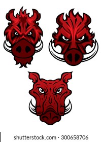 Red wild boars heads with dangerous sharp tusks isolated on white background, for tattoo or mascot design 