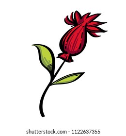 Red wild flower. Decorative floral element in hand drawn, doodle style. Vector illustration isolated on white background for greeting cards, invitations and much more.