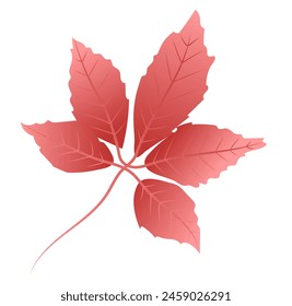 Hoja de uva silvestre roja con ramita en diseño plano. Otoño herbario follaje. Ilustración vectorial aislada.