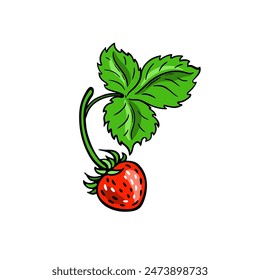 Red wild strawberry. Color berry and green leaf. Hand-drawn flat image. Vector illustration on a white background.
