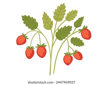 Red wild strawberry on green stem with green leaves forest berry vector illustration isolated on white background