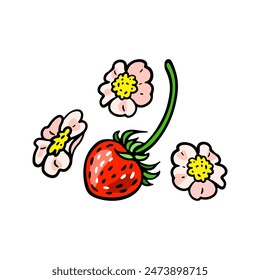 Red wild strawberry and pink flowers. Color berries set. Hand-drawn flat image. Vector illustration on a white background.