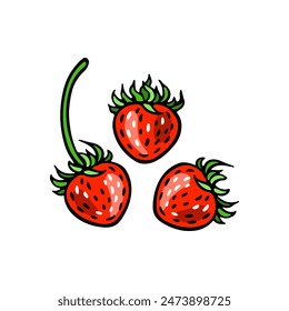 Red wild strawberry. Three berries. Hand-drawn flat image. Vector illustration on a white background.