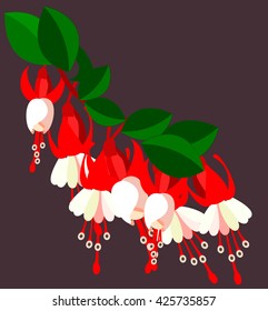 Red wildflowers vector illustration.