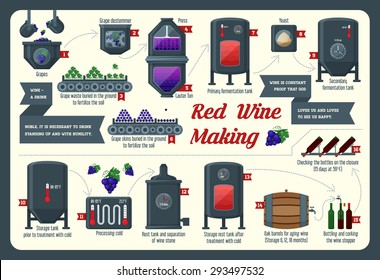 Red wine making, infographic