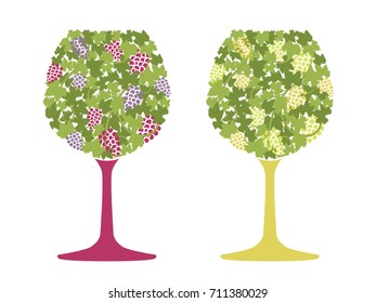 Red wine and white wine of grape pattern vector illustration