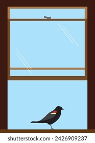 Un mirlo alado rojo está encaramado en una ventana abierta