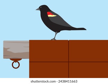 A red winged blackbird is viewing the world from a shed roof