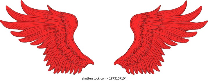 Red wings hand drawn illustration in isolated on white background, vector file