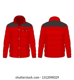 Red winter down jacket with buttons isolated vector on the white background