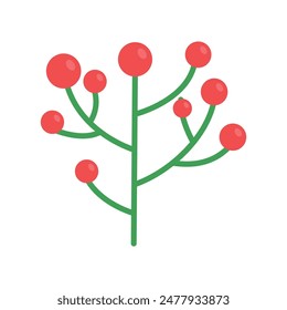 Red winterberry on a white background.