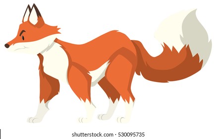 Red wolf standing alone illustration