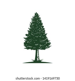 Red wood tree vector illustration
