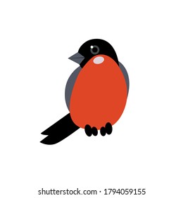 Red Xmas bird. Bullfinch vector illustration. Vector illustration