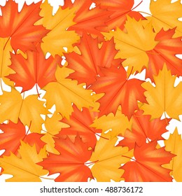 Red and Yellow Autumn Leaves Pattern Background. Square format. Vector Illustration isolated on white background.