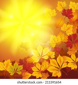 Red and yellow autumn vector leaves on sunny background