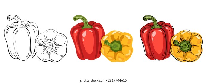 Red and Yellow Bell Pepper Vector Set with Line Art, Colored and Outline Stalks