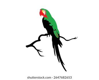 Red, yellow and black parrots resting on branch, macaw isolated on a white background
