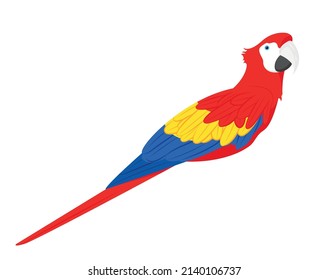 Red, yellow and blue macaw isolated on white background. Colorful Macaw Parrot. Mascot vector illustration. The scarlet macaw, Ara macao