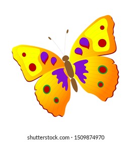 red and yellow butterfly vector design, animals vector design, single butterfly vector.